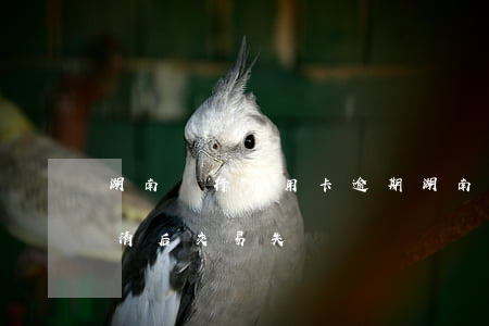 湖南銀行信用卡逾期 湖南銀行信用卡逾期還清后,交易失敗