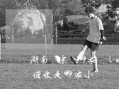 湖南銘宗為哪家網(wǎng)貸催收(湖南催收是哪家小貸)