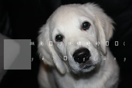 湖南長沙口碑好的債務(wù)律師哪個(gè)強(qiáng)-長沙債務(wù)糾紛律師事務(wù)所排名