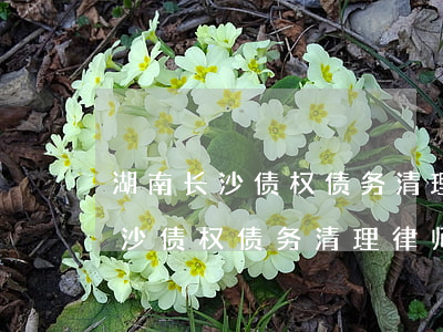 湖南长沙债权债务清理律师多少钱-湖南长沙债权债务清理律师多少钱啊