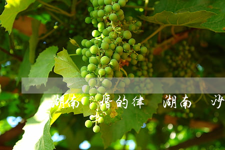 湖南離婚的律師(湖南長沙有名的離婚律師)