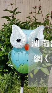 湖南離婚訴訟立案(湖南法院公開(kāi)網(wǎng))