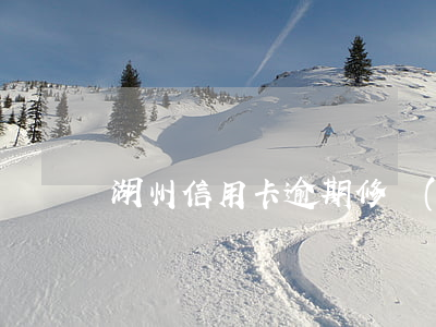 湖州信用卡逾期修復(fù)公司