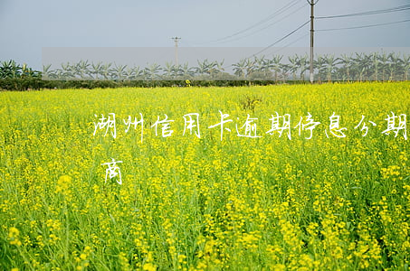 湖州信用卡逾期停息分期怎么協(xié)商