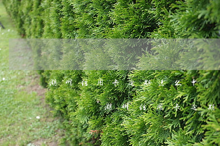 湖州信用卡逾期怎么申請(qǐng)停息掛賬-湖州信用卡逾期怎么申請(qǐng)停息掛賬的