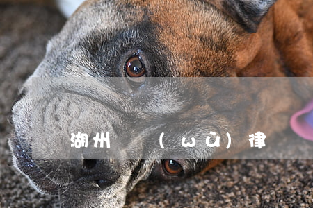 湖州債務(wù)律師價(jià)格