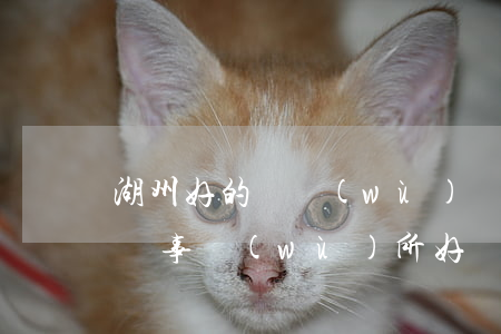 湖州好的債務(wù)糾紛律師(湖州哪家律師事務(wù)所好)