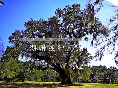 湖州找律師(湖州律師事務所)