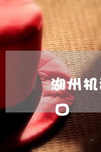 湖州机动车违章查询(湖州机动车违章查询入口)