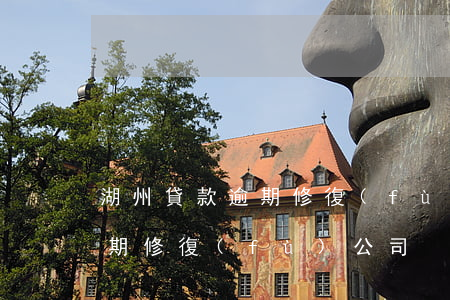 湖州貸款逾期修復(fù)公司(湖州貸款逾期修復(fù)公司)