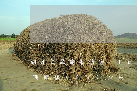 湖州貸款逾期修復(fù)費用(湖州貸款逾期修復(fù)費用)