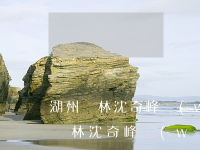 湖州雙林沈奇峰網(wǎng)貸逾期(湖州雙林沈奇峰網(wǎng)貸逾期)