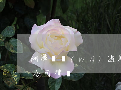 湘潭債務(wù)逾期糾紛處理律師-湘潭合同律師