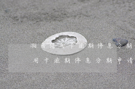 湘西信用卡逾期停息分期申请条件-湘西信用卡逾期停息分期申请条件是什么