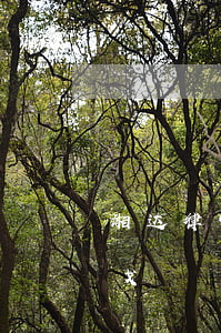 湘达律师事务所简介(湘达律师事务所简介郑戈)