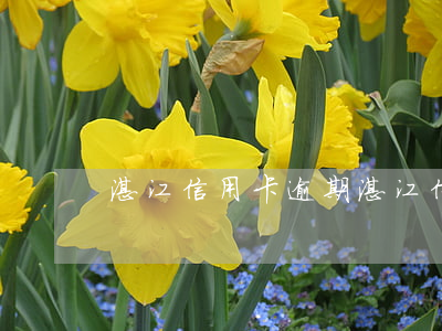 湛江信用卡逾期(湛江信用卡逾期)