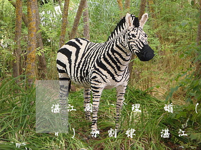 湛江周邊辦理離婚財(cái)產(chǎn)分割律師(湛江經(jīng)濟(jì)糾紛律師咨詢)