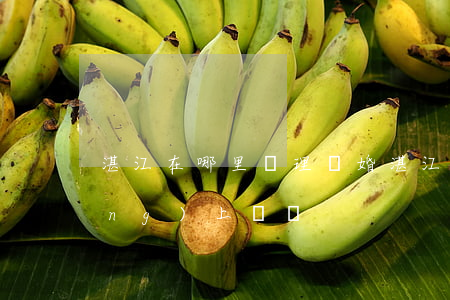 湛江在哪里辦理離婚(湛江離婚預約網(wǎng)上預約)