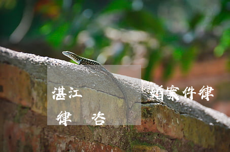湛江專門辦離婚案件律師收費多少(湛江離婚律師咨詢)