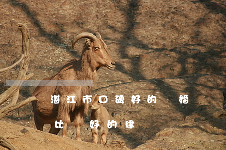 湛江市口碑好的離婚糾紛律師找誰(湛江口碑比較好的律師)