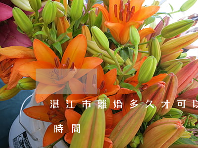 湛江市離婚多久才可以買房(湛江市辦理離婚時間)