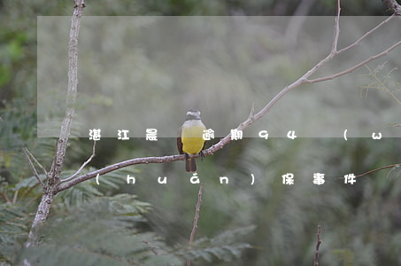 湛江晨鳴逾期94萬(wàn)(湛江晨鳴環(huán)保事件)
