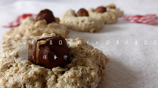 湛江晨鳴逾期94萬(湛江晨鳴環(huán)保事件)
