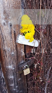 湛江汽車過戶需要什么手續(xù)(湛江二手車過戶流程是什么)