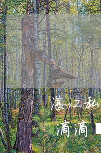 湛江私家車可以跑滴滴嗎(湛江私家車可以跑滴滴嗎)