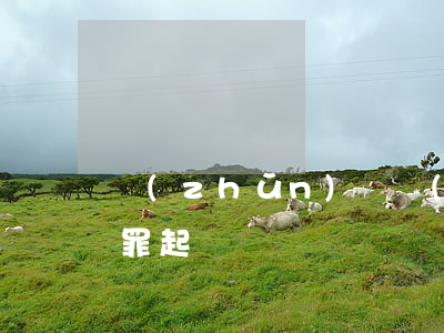 準(zhǔn)備實(shí)施恐怖活動罪起訴狀
