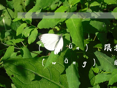 準(zhǔn)備跟老公說(shuō)欠網(wǎng)貸的事(婚前欠了網(wǎng)貸不敢和老公說(shuō))