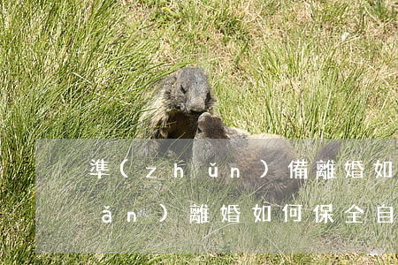 準(zhǔn)備離婚如何保全財產(chǎn)(離婚如何保全自己的財產(chǎn))