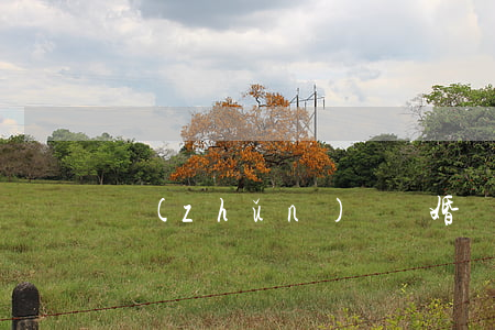 準(zhǔn)備離婚懷孕7個月了怎么辦