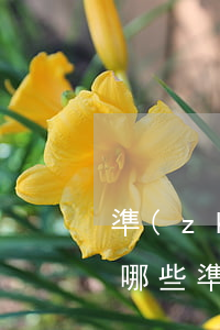 準(zhǔn)備離婚要哪些條件(離婚需要哪些準(zhǔn)備)
