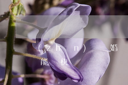 準(zhǔn)備離婚該怎么過(想離婚怎么樣能盡快離)