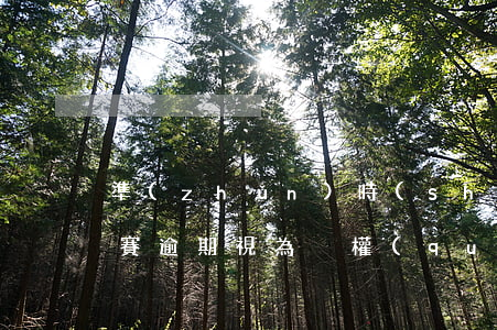 準(zhǔn)時(shí)參加彩排和決賽逾期視為棄權(quán)
