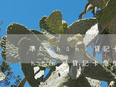 準(zhǔn)貸記卡是信用卡逾期(準(zhǔn)貸記卡是信用卡逾期會(huì)怎么樣)