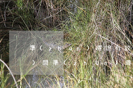 準(zhǔn)遷證有效期多長時(shí)間(準(zhǔn)遷證有效期多長時(shí)間從哪天開始算)