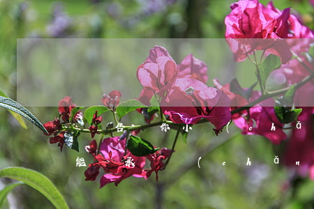 準確告訴你小產(chǎn)權房到底能不能繼承遺產(chǎn)？