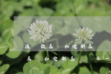 溢繳款呆賬和逾期呆賬顯示一樣么-溢繳款呆賬和逾期呆賬顯示一樣么