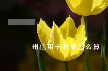溫州信用卡利息怎么算