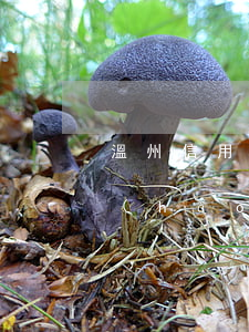 溫州信用卡逾期協(xié)商還款電話號(hào)碼-溫州信用卡逾期協(xié)商還款電話號(hào)碼是多少