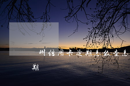 溫州信用卡逾期怎么查(怎么可以查信用卡逾期記錄?)