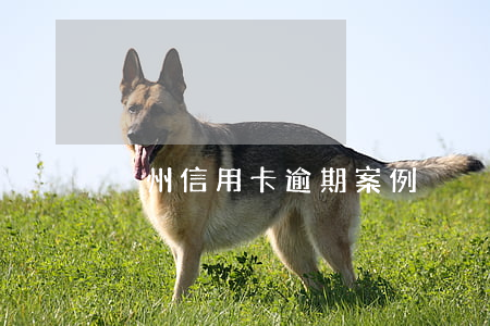 溫州信用卡逾期案例