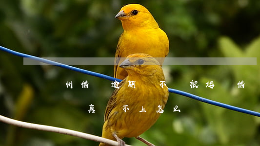 溫州借唄逾期會不會被起訴(借唄逾期會被起訴嗎?真還不上怎么辦)