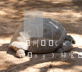 溫州債務(wù)律師服務(wù)網(wǎng)站官網(wǎng)（溫州債務(wù)律師服務(wù)網(wǎng)站）
