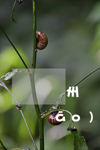 溫州動車賠償(溫州市交通事故賠償標(biāo)準(zhǔn))