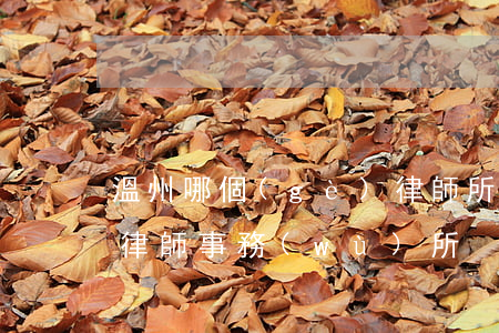 溫州哪個(gè)律師所有名氣(溫州有名的律師事務(wù)所)