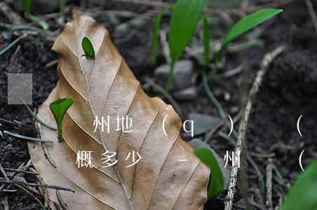 溫州地區(qū)債務(wù)合同律師大概多少錢-溫州債務(wù)糾紛律師
