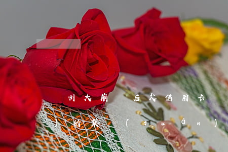 溫州大崩盤后欠信用卡 溫州破產(chǎn)的集團(tuán)